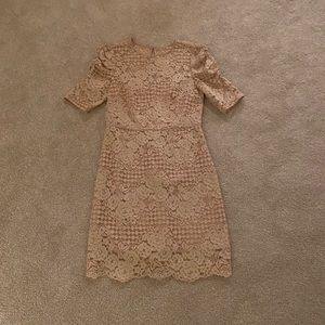 Lace fully lined dress